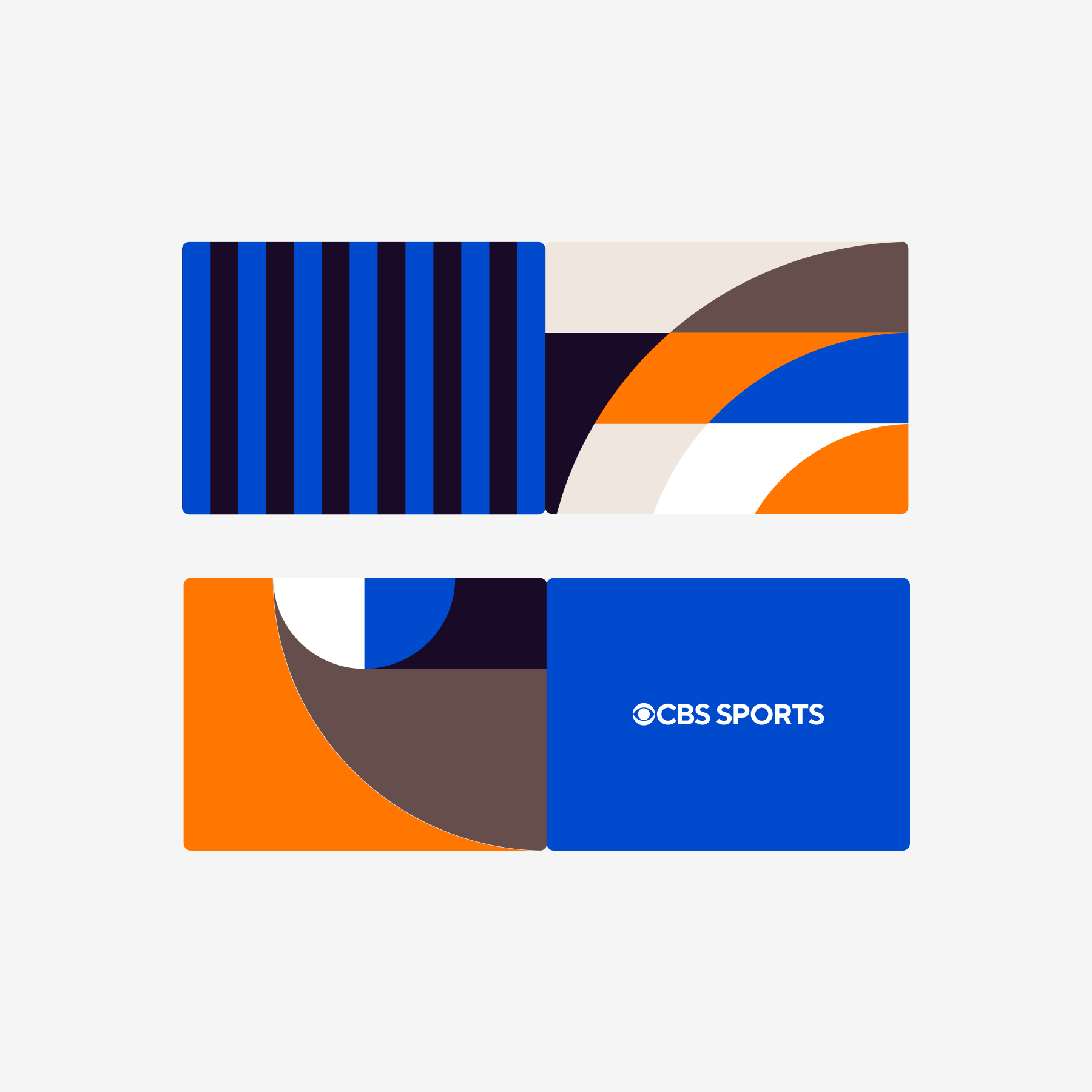 Color & Pattern Studies